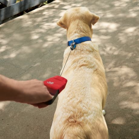 Nite Ize RadDog™ Retractable Pocket Leash Large
