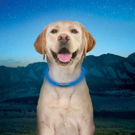 Nite Ize NiteHowl® Rechargeable LED Safety Necklace