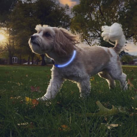 Nite Ize NiteHowl® Rechargeable LED Safety Necklace