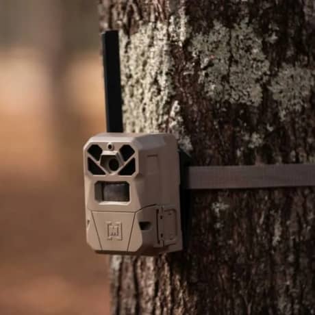 Moultrie EDGE 2 Cellular Trail Camera - 2 Pack