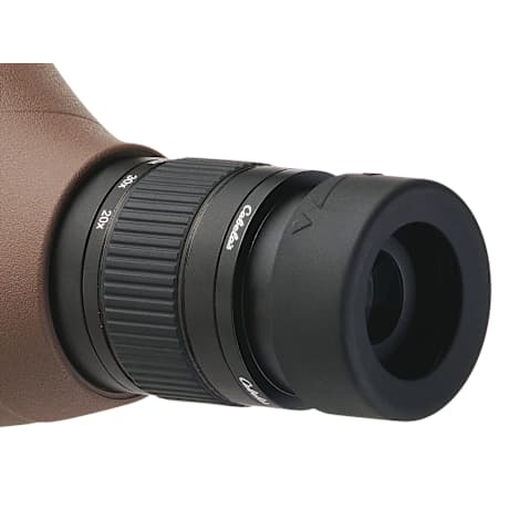Cabela's® 20-60x80mm Angled Spotting Scope