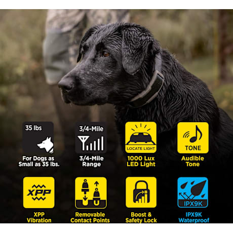 Dogtra® 1900X 1-Dog Unit E-Collar Remote Training System