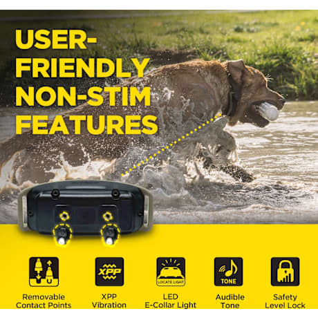 Dogtra® 1900X 1-Dog Unit E-Collar Remote Training System