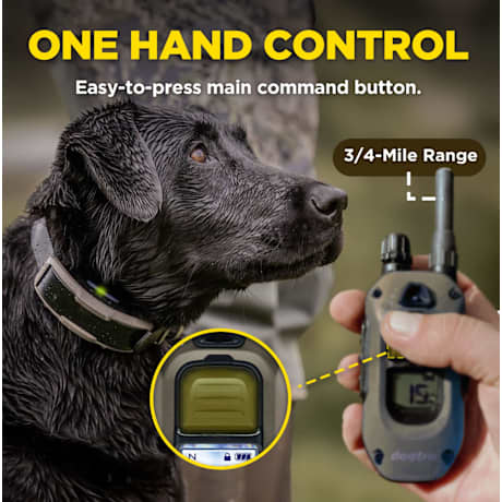 Dogtra® 1900X 1-Dog Unit E-Collar Remote Training System