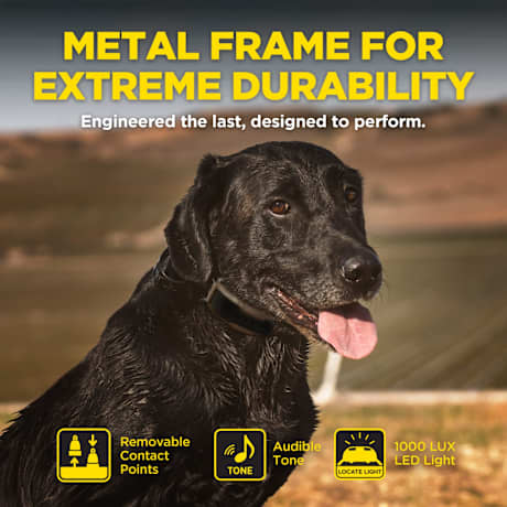 Dogtra® 1900X 1-Dog Unit E-Collar Remote Training System