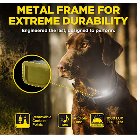 Dogtra® 1900X 1-Dog Unit E-Collar Remote Training System