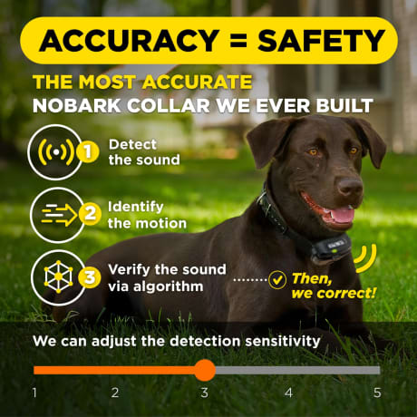 Dogtra® Smart Nobark E-Collar Remote Dog Training System