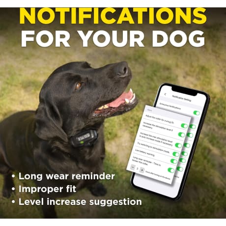 Dogtra® Smart Nobark E-Collar Remote Dog Training System