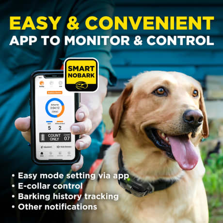 Dogtra® Smart Nobark E-Collar Remote Dog Training System