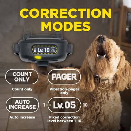 Dogtra® Smart Nobark E-Collar Remote Dog Training System