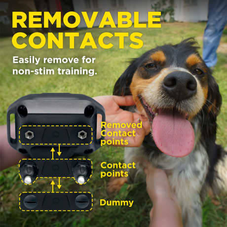 Dogtra® Smart Nobark E-Collar Remote Dog Training System