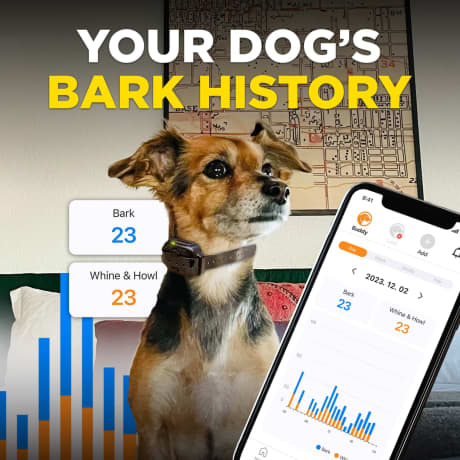 Dogtra® Smart Nobark E-Collar Remote Dog Training System