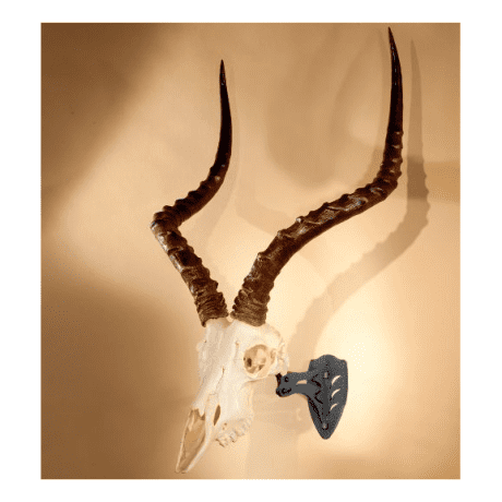 Skull Hooker Little Hooker Mounting Brackets - Black - in use