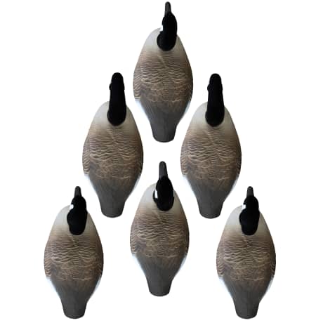 Higdon Standard Canada Goose Shells