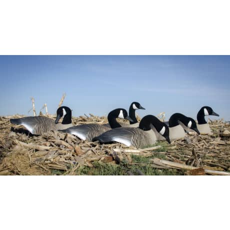 Higdon Standard Canada Goose Shells