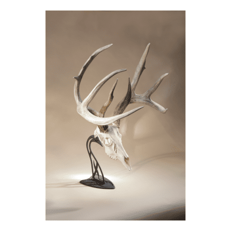Skull Hooker Bone Bracket - Table Hooker - In the Field