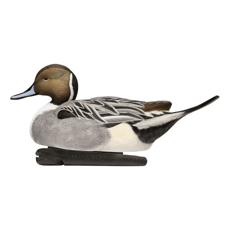 Avian-X Topflight Pintail Decoys – 6-Pack