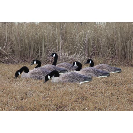 Higdon Magnum Half-Shell Canada Goose Decoys