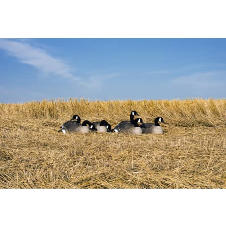 Higdon Magnum Half-Shell Canada Goose Decoys