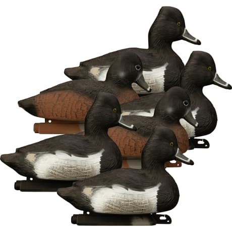 Higdon Standard Ringneck Foam-Filled Decoys