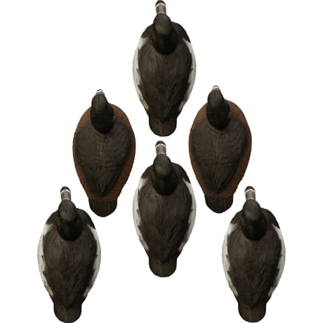 Higdon Standard Ringneck Foam-Filled Decoys