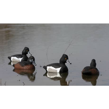 Higdon Standard Ringneck Foam-Filled Decoys