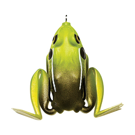 Texas Toad