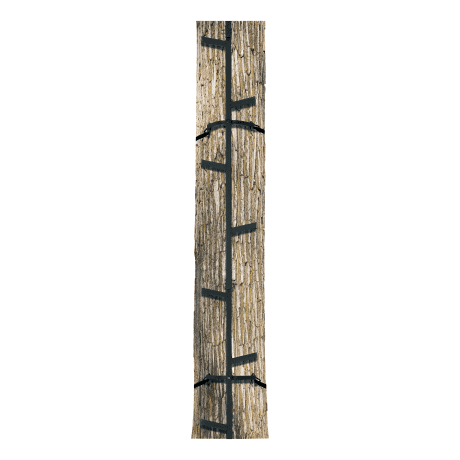 Tree stand climbing sticks discount
