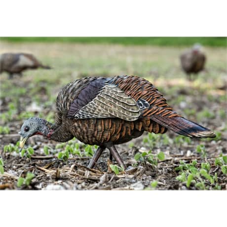 Avian-X® LCD Feeder Hen Turkey Decoy