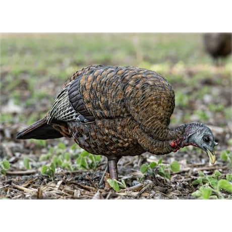 Avian-X® LCD Feeder Hen Turkey Decoy