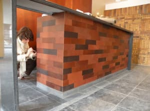 wall / counter tiles