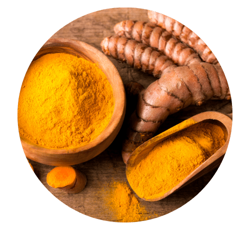 Turmeric plant