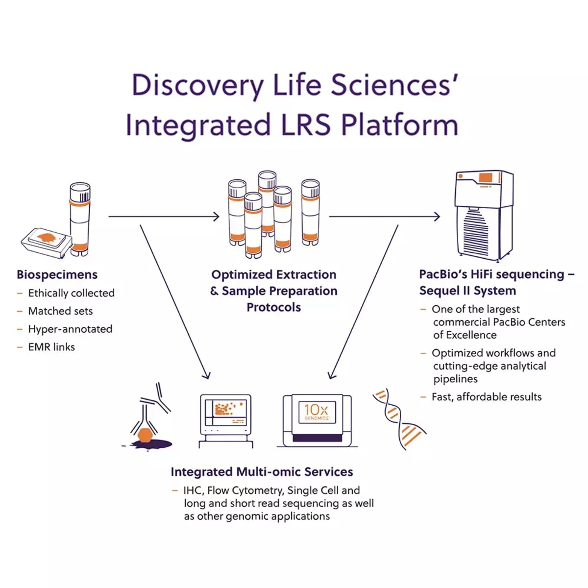 Transforming Drug Development With Accurate And Scalable Long-Read Sequencing Services