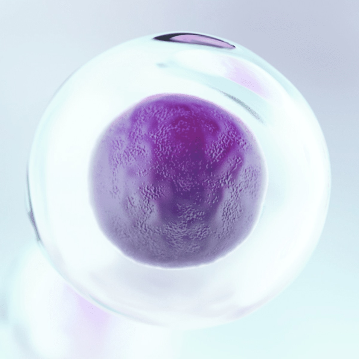 Allogeneic Cell Therapies Summit Presentation