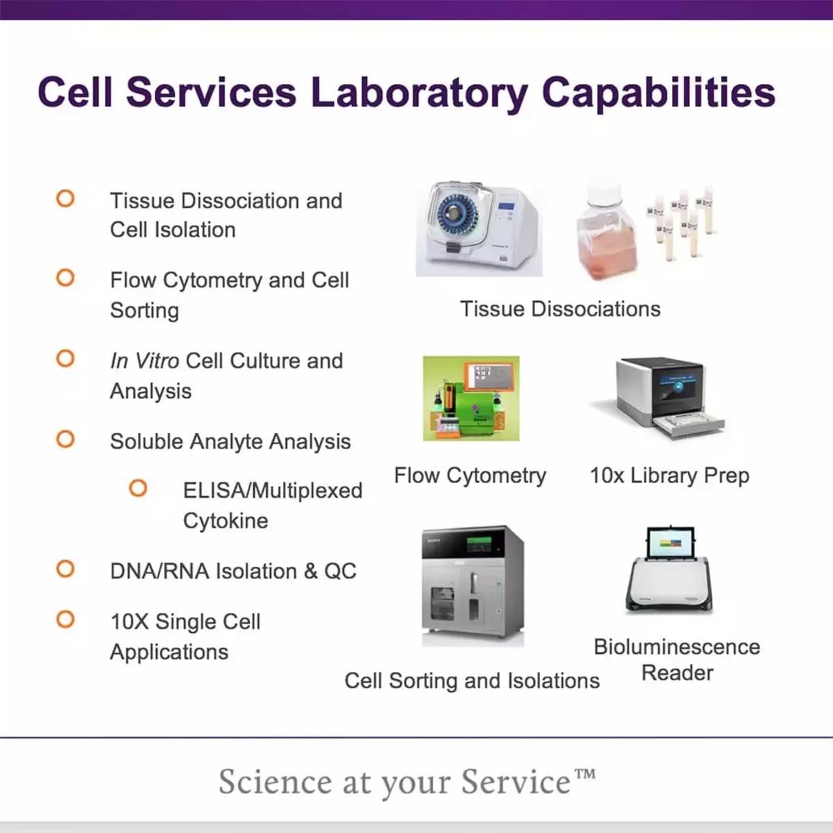 Festival of Biologics Presentation