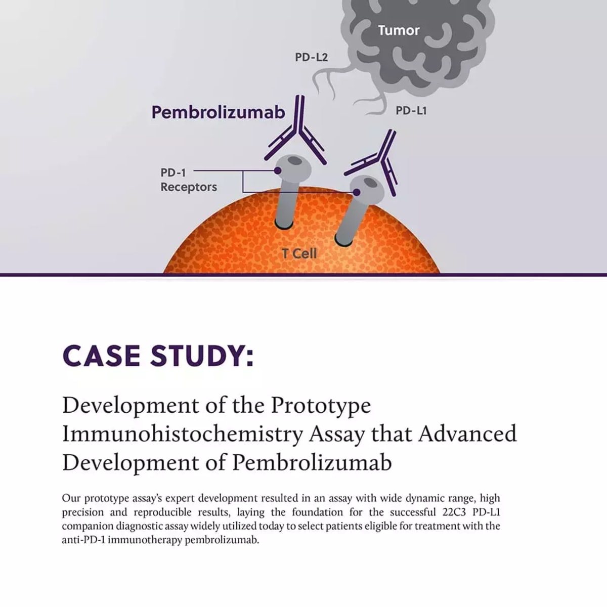 IHC Assay that Advanced Development of Pembrolizumab