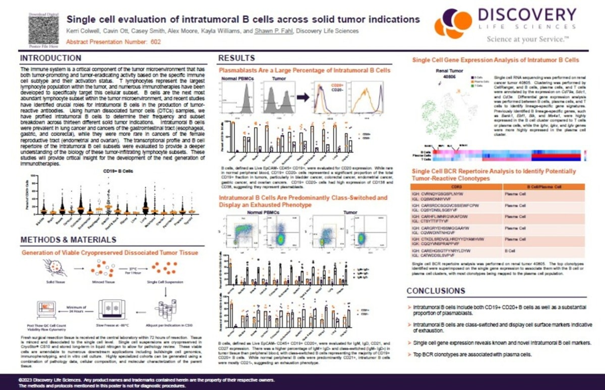AACR 2023 - Single cell evaluation of intratumoral B cells