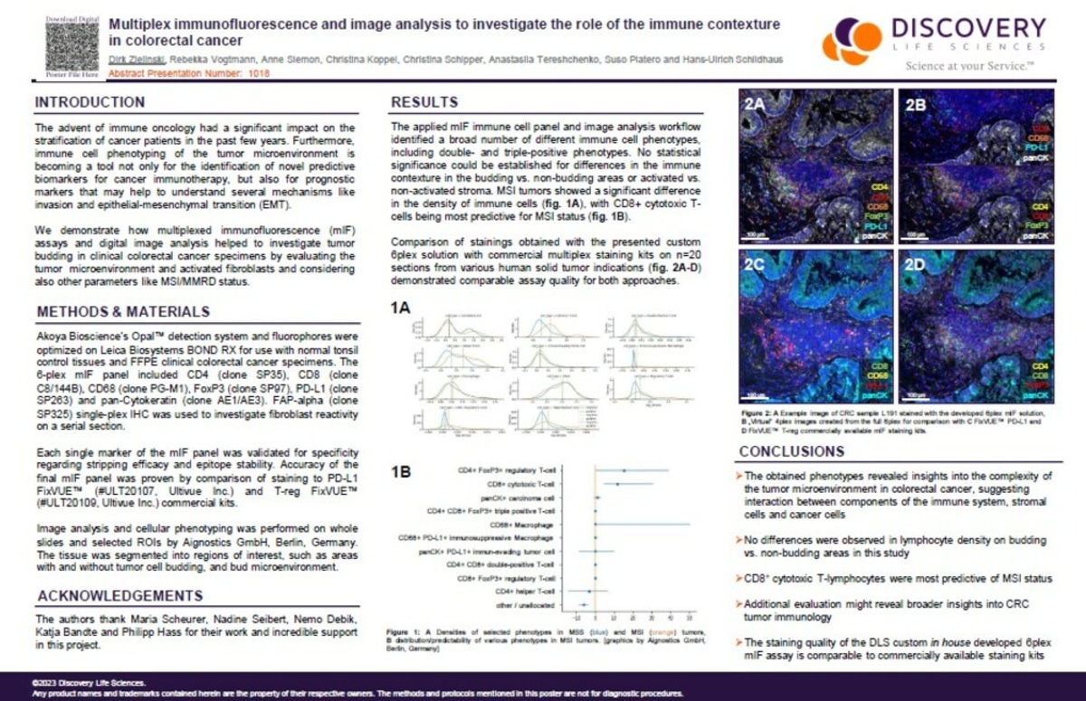 AACR 2023 - mIF and Image Analysis in Colorectal Cancer