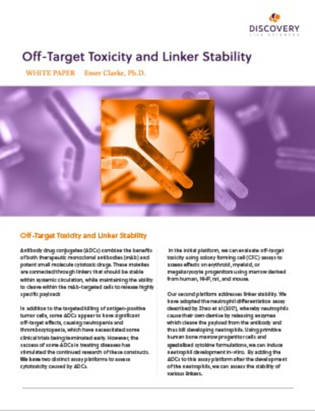 ADC Off Target Tox and Linker Stability