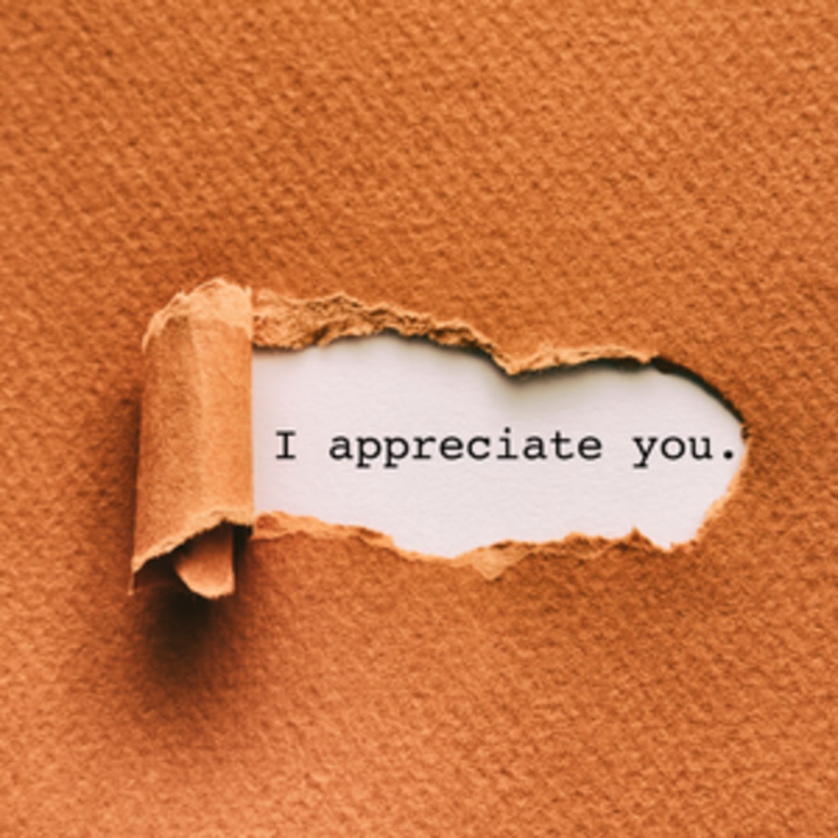Gratitude and Appreciation