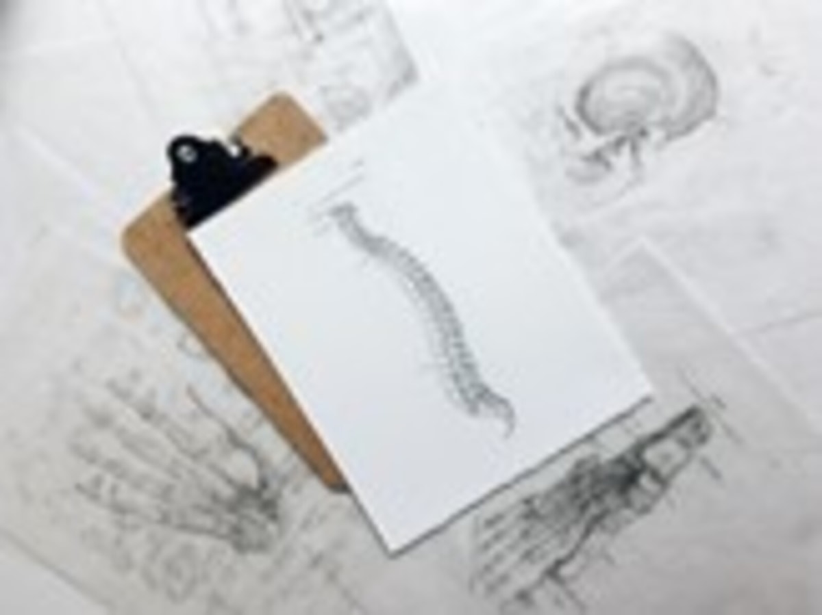 4 Office Exercises to Reduce Neck and Shoulder Pain