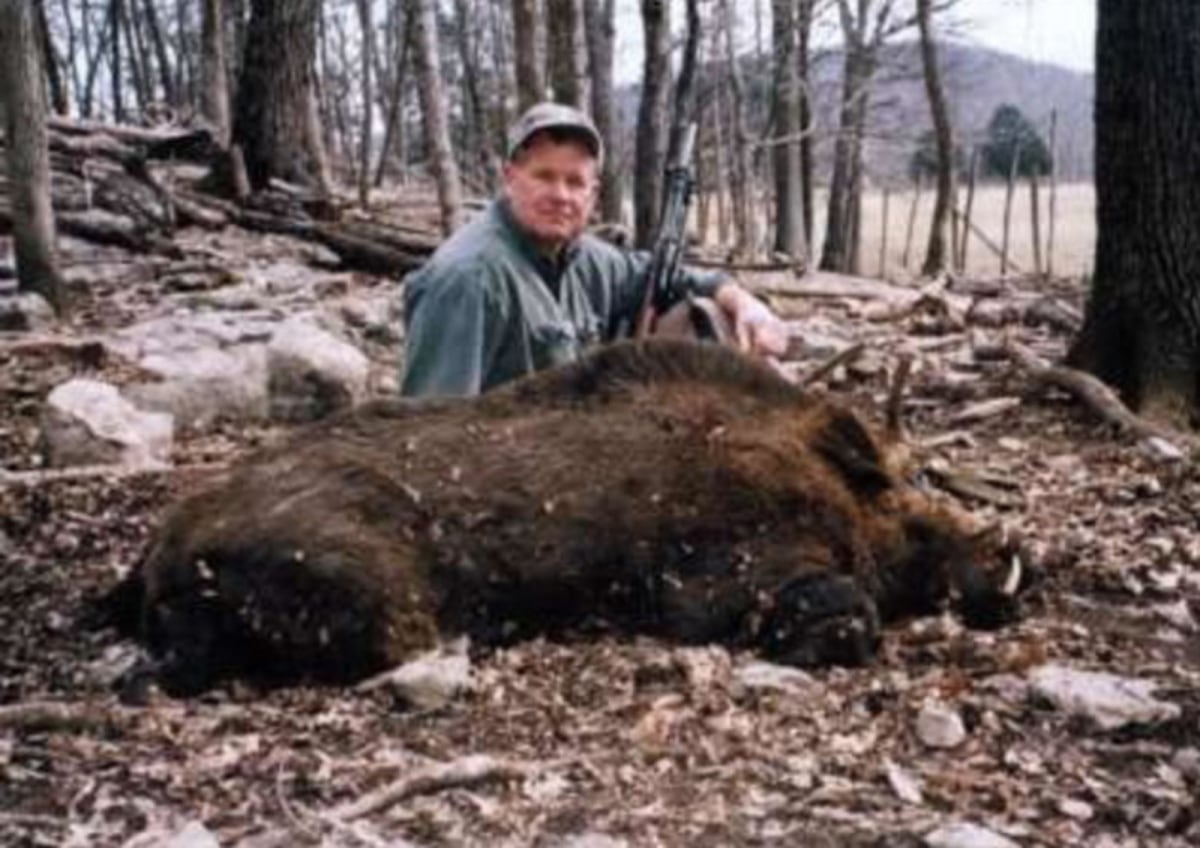 Russian boar hunts