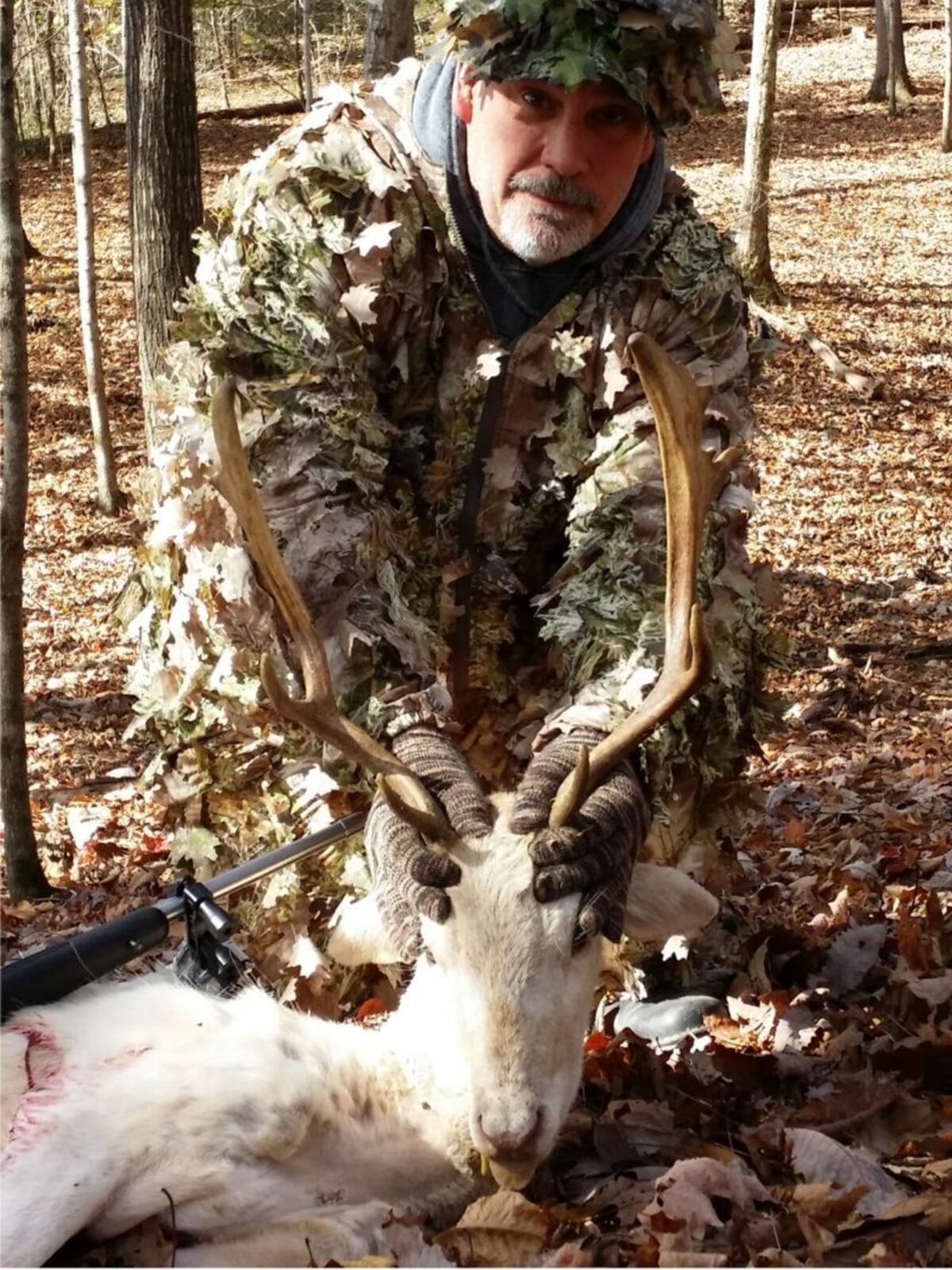 Wendal Shelton Fallow Deer