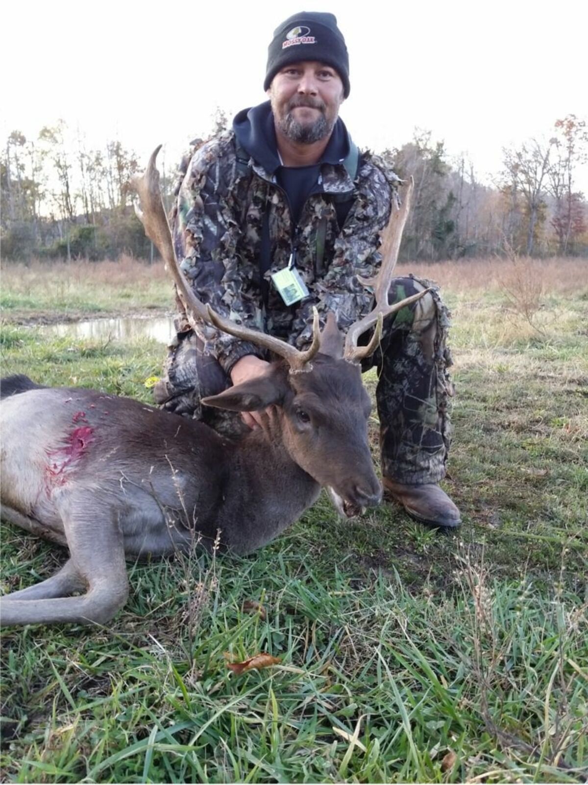 Ryan Shelton Chocolate Fallow