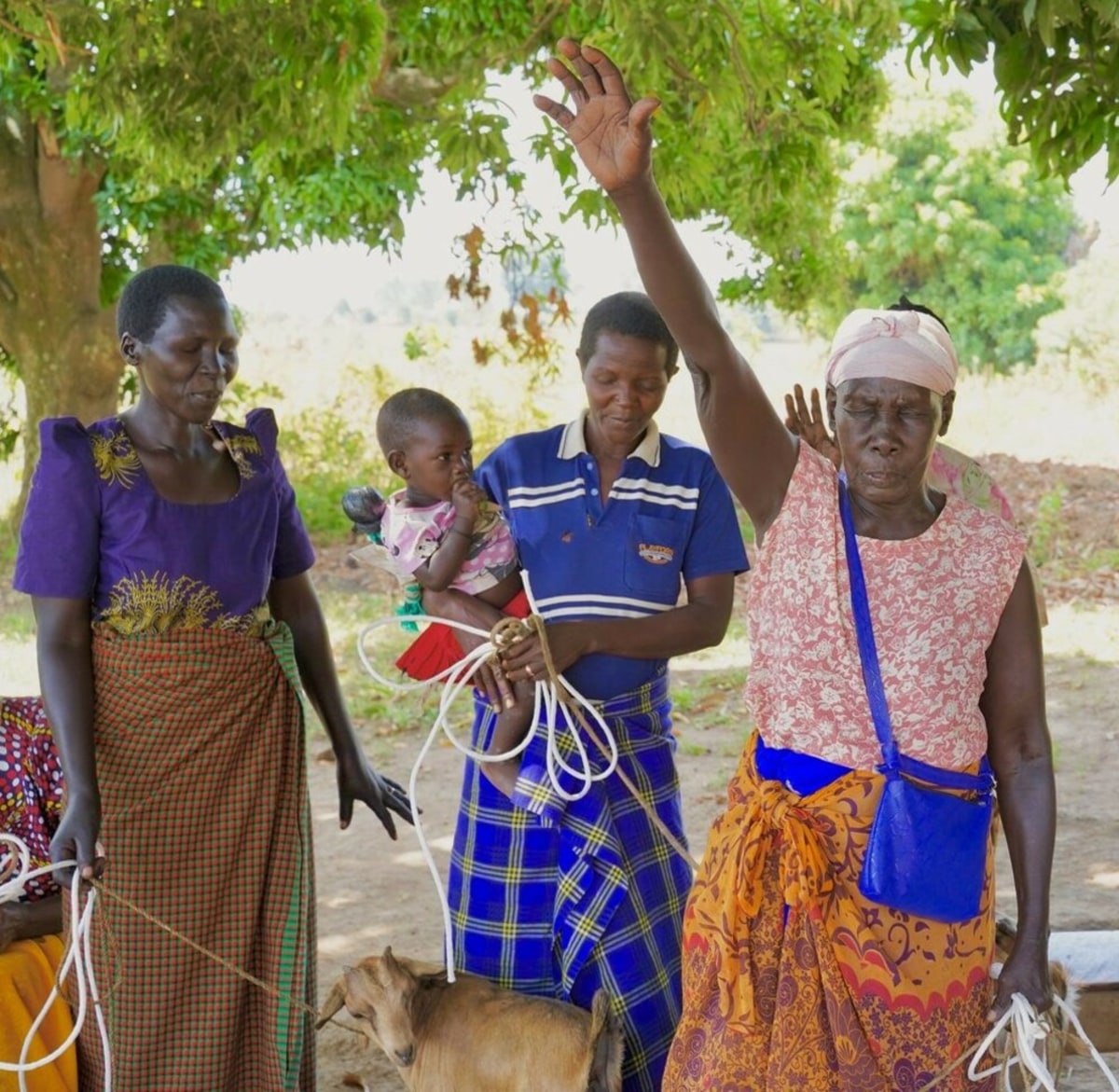 Goats for Widows - Uganda