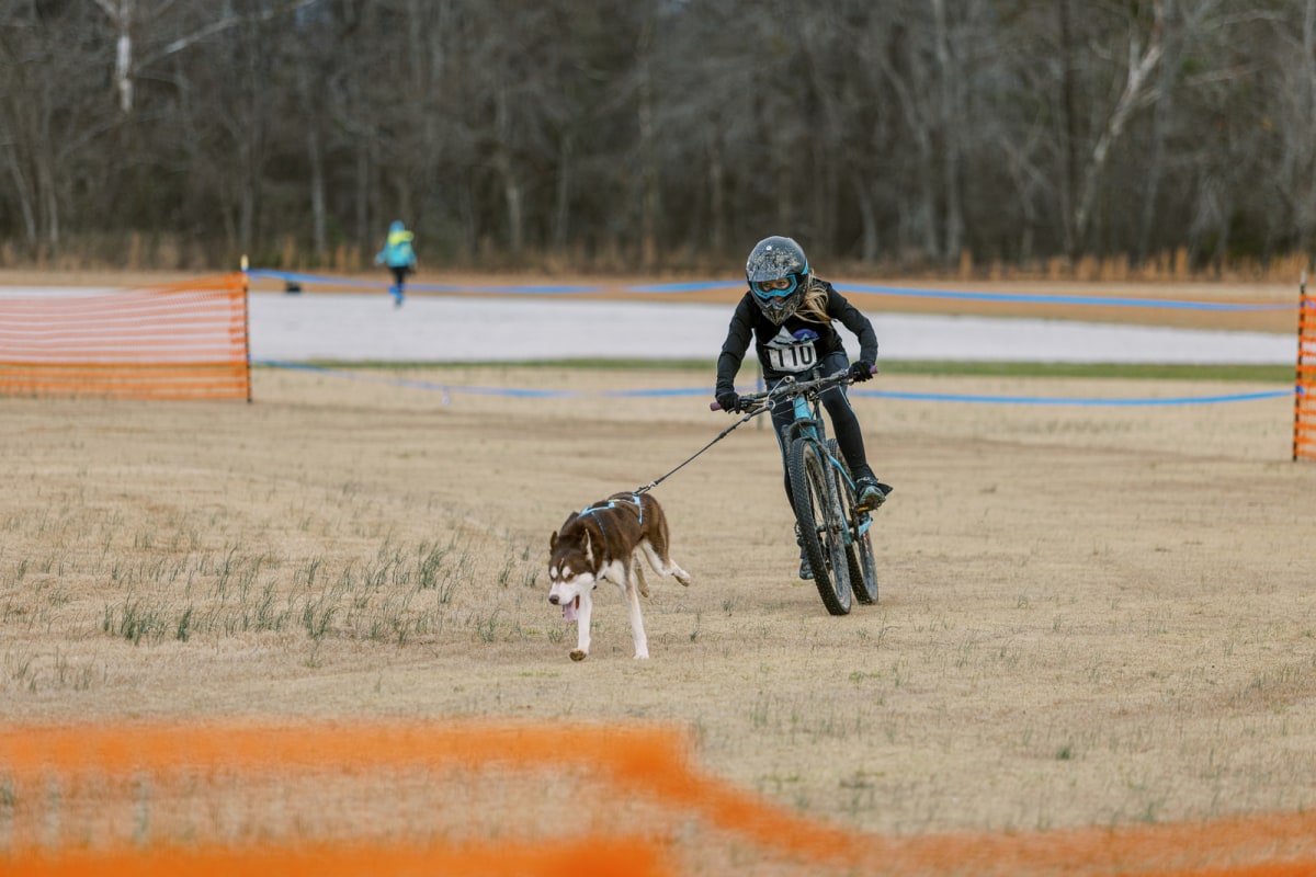 Choccolocco Park to Host State’s First Sled Dog Dace