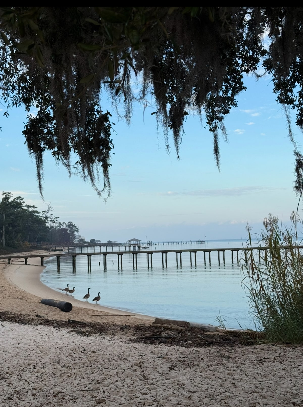 Running Rocket City - Part 2: The Process