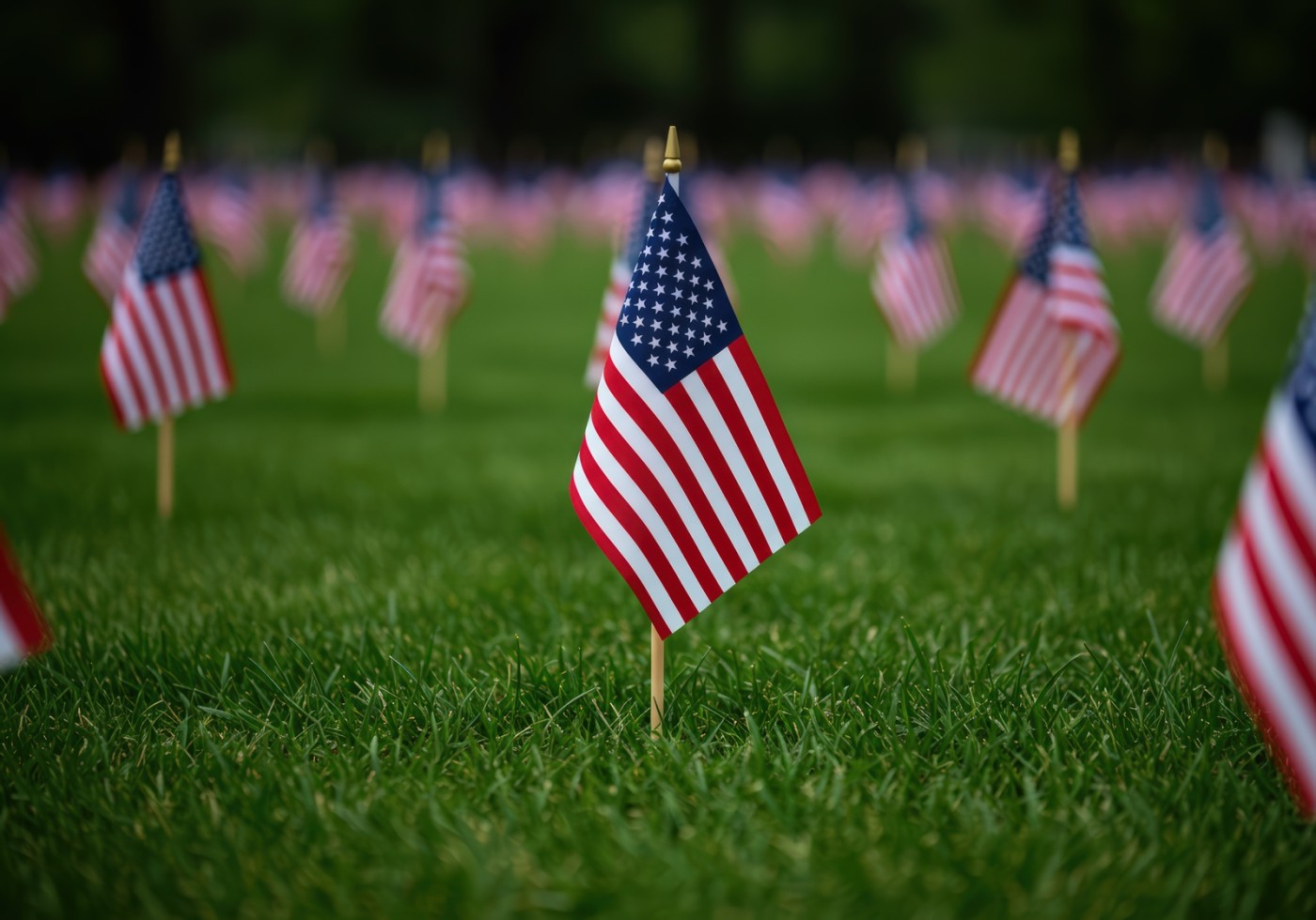 AMF Approves $10K Scholarship Grant & Finalizes Reserve Policy