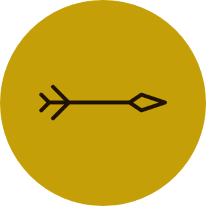 Slider Yellow Next
