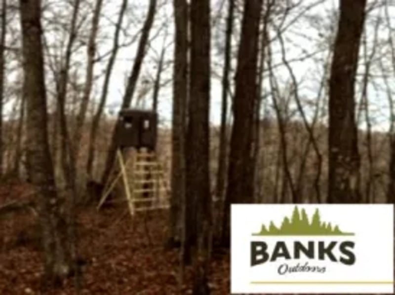 Shooting Stands